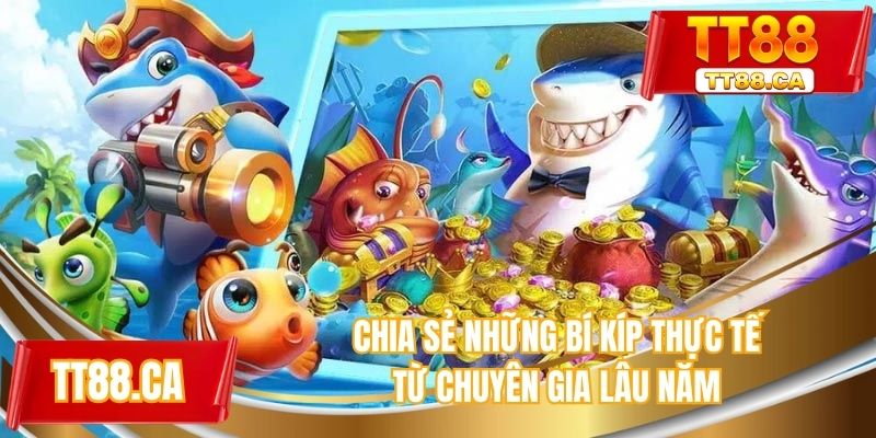 Chia sẻ những bí kíp thực tế từ chuyên gia lâu năm